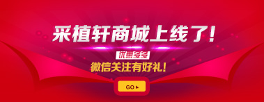 商城上线